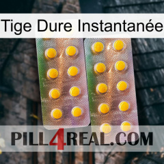 Tige Dure Instantanée new10